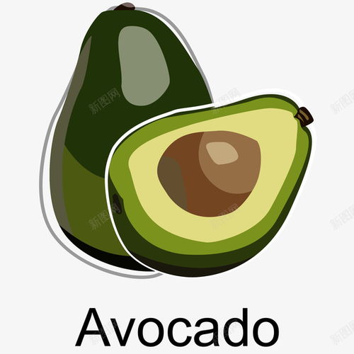 进口牛油果手绘插画矢量图高清素材 平面 设计图片 页面网页 平面电商 创意素材 png素材 绿色食品素材